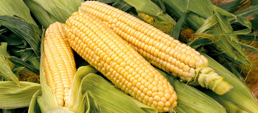 corn